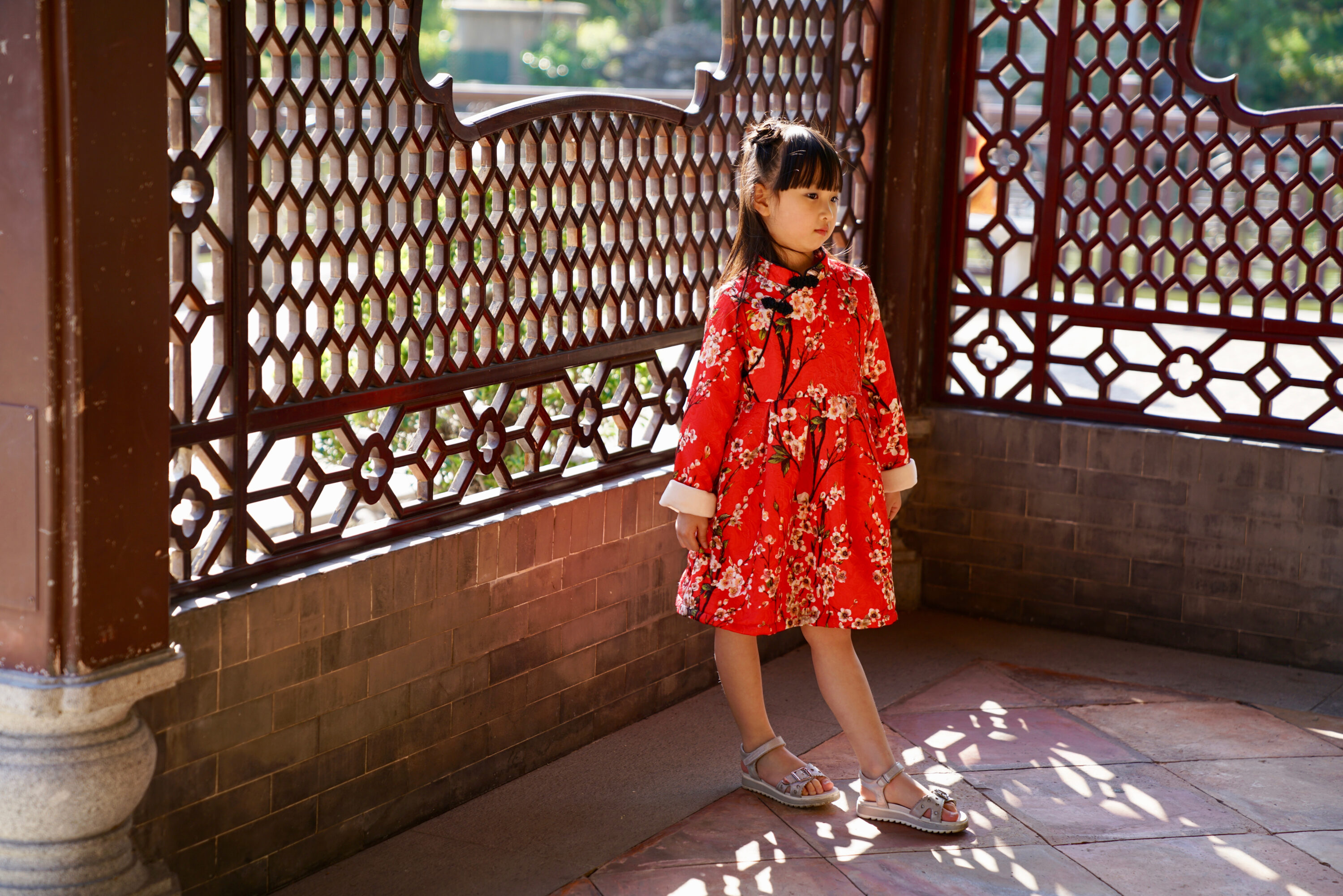 Cheongsams, Qipaos, And Chinese New Year Clothes For Kids & Adults hong kong