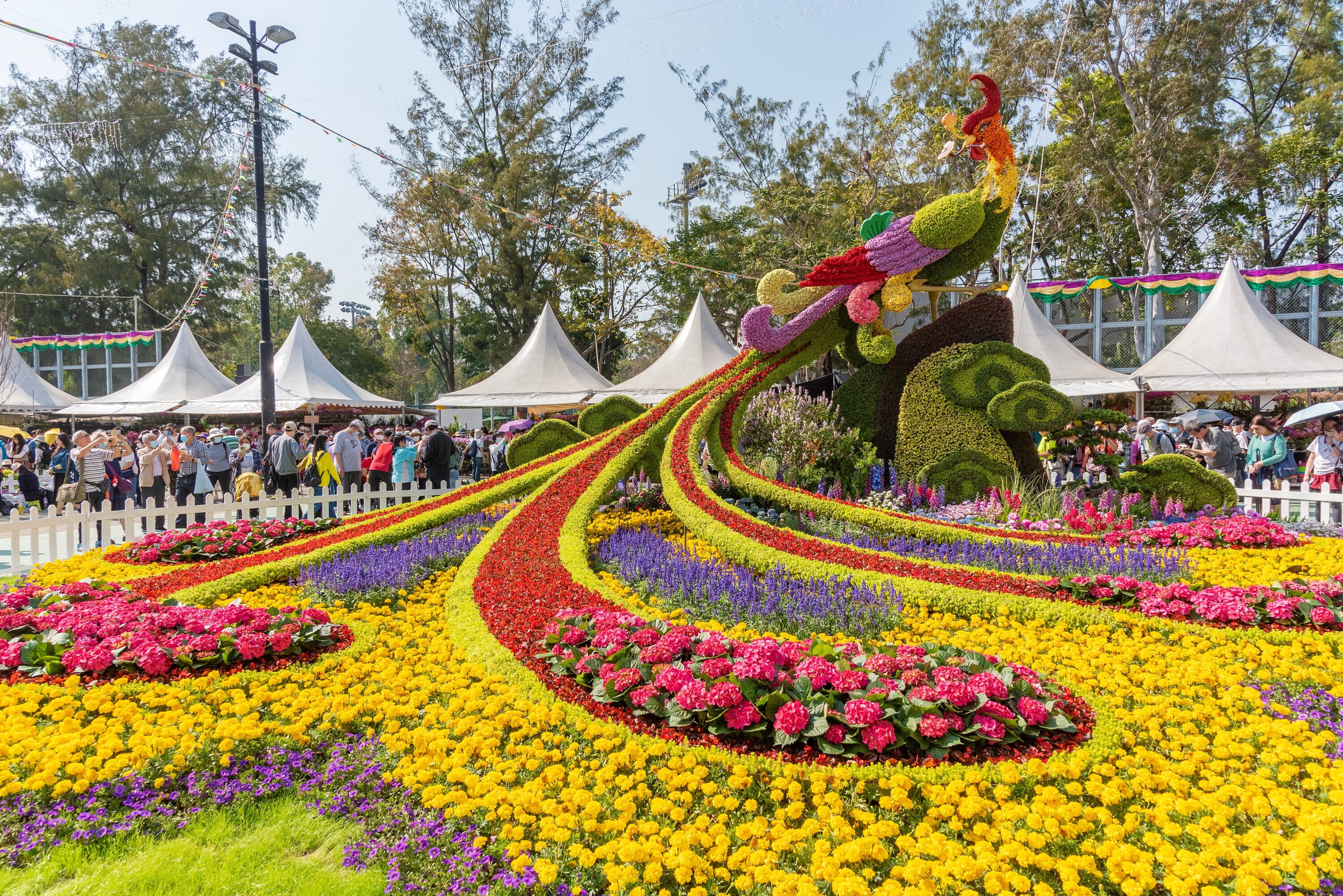 hong kong flower show 2024