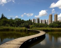 Hong Kong Wetland Park - Hong Kong - Little Steps Asia