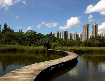 Hong Kong Wetland Park - Hong Kong - Little Steps Asia