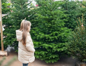 Where To Buy Christmas Trees In Hong Kong 2024 – Early Bird Is On Now!